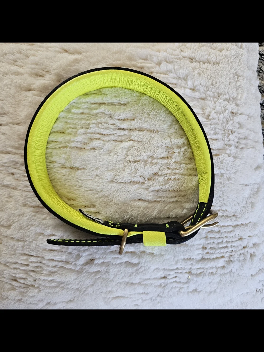 Hand Made In England, Real Leather!India Hicks Black and Neon Yellow Dog Collar